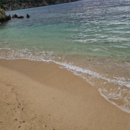公寓 Luxury Ella 尼基季